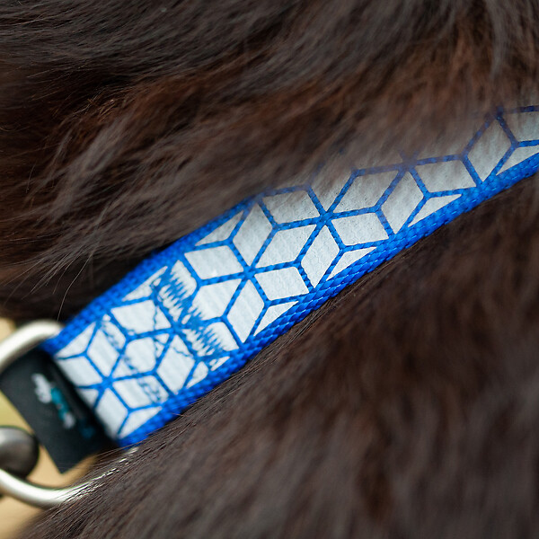 FIDELAMI - collier réfléchissant bleu l - large