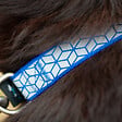 FIDELAMI - collier réfléchissant bleu l - vignette