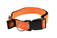 FIDELAMI - collier flash m/l - vignette