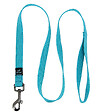 FIDELAMI - laisse universelle turquoise - vignette