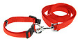 FIDELAMI - kit collier/laisse rouge s - vignette