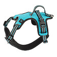FIDELAMI - harnais dynamic m turquoise - vignette
