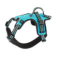 FIDELAMI - harnais dynamic l turquoise - vignette