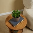 BLOOMIQUE - Crassula Ovata Arbre Magique - Plante de Jade - Plantes d'intérieur - H. 15-20 cm - P. 12 cm - vignette
