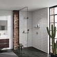 HANSGROHE - Pommeau de douche Pulsify Select EcoSmart 105 3 jets relaxation + Flexible 160 cm Designflex Bronze brossé - vignette