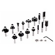 BOSCH - Coffret de 15 fraises mixtes Bosch Professional 2607017472 à queue de 8mm - vignette