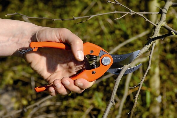 BAHCO - Sécateur acier orange 22 cm - large