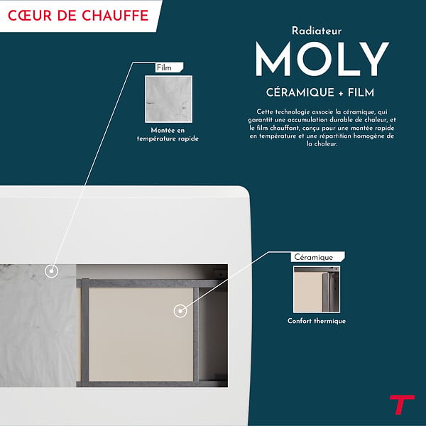 THOMSON - Radiateur électrique fixe inertie sèche - Double cœur de chauffe - THOMSON - MOLY 2000W - Connecté WiFi - horizontal blanc - NF - large