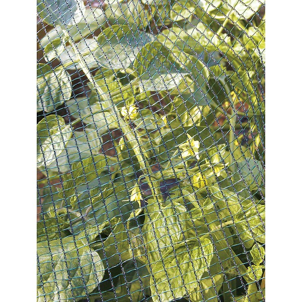 TENAX - Filet de protection 2x10m - large