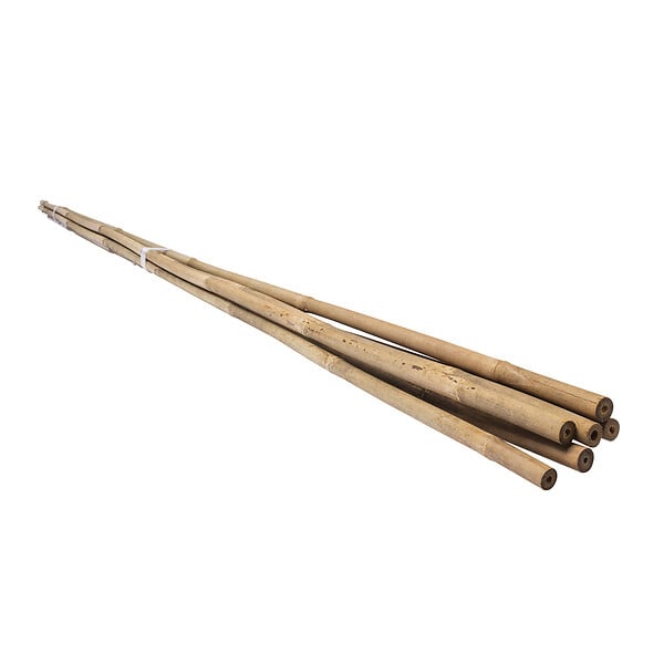 WERKAPRO - Lot de 6 tuteurs en bambou  H 120cm (Ø 12-14 mm) - large