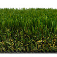 WERKAPRO - Gazon synthétique 4 cm d'épaisseur  1 x 4 mètres (soit: 4m²) - vignette