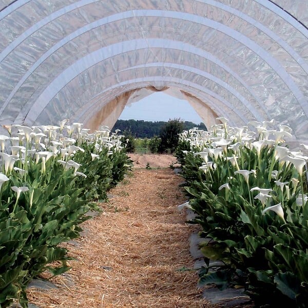RIBIMEX - Bâche de protection 4x10 m 160 g/m2 - large