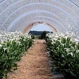 RIBIMEX - Bâche de protection 3x4 m 160 g/m2 - vignette