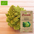 ASSOCIATION KOKOPELLI - Chou Brocoli Romanesco- Graines bio à semer - vignette
