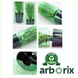 ARBORIX - 2 x Arbre aux papillons - Buddleja Davidii 'White Profusion'  - 40-60 cm pot - vignette