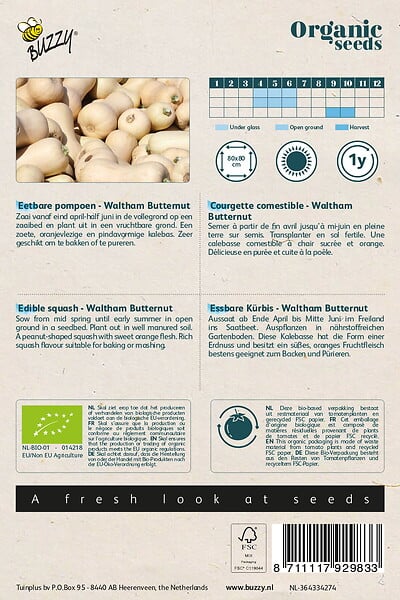ARBORIX - Buzzy Organic Courgette comestible Waltham Butternut - Bio Semences - Ca. 2 gr (Livraison Gratuite) - large