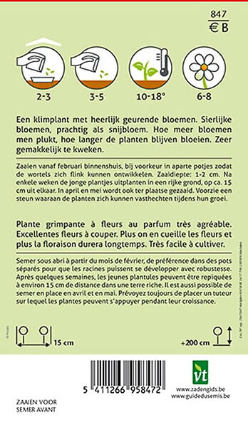 ARBORIX - Pois De Senteur Royal White - Ca. 3 gr (Livraison Gratuite) - large
