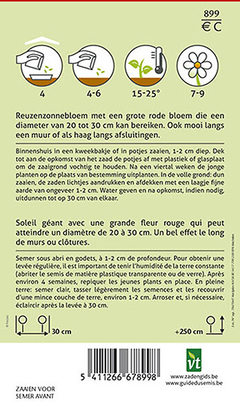 ARBORIX - Tournesol Red Sun - Ca. 1 gr (Livraison Gratuite) - large