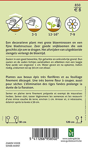 ARBORIX - Pied D'Alouette Annuel Sublime Mix - Ca. 0,75 gr (Livraison Gratuite) - large