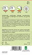 ARBORIX - Tournesol Autumn Time - Ca. 1 gr (Livraison Gratuite) - vignette