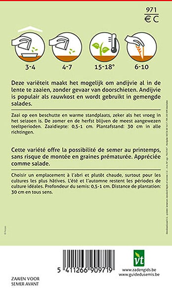 ARBORIX - Chicorée Scarole Perlita - Ca. 2 gr (Livraison Gratuite) - large
