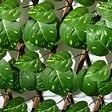 OUTSUNNY - Lot de 2 haies artificielles feuilles de radis - treillis extensibles - brise-vue canisse végétale feuillage réaliste 2L x 1H m PE marron vert - vignette