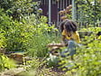 GARDENA - Sécateur GARDENA 12203-20 ExpertCut diamètre de coupe 22 mm - vignette