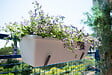 CENTRALE BRICO - Lot de 2 supports fixations réglables pour jardinière - 18 cm - Acier époxy - vignette