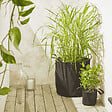 CERLAND - Sac feutre géotextile 40 cm noir - vignette