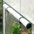 OUTSUNNY - Serre de jardin 0,8 m² - 2 espaces, 2 portes enroulables - acier PE transparent - vignette