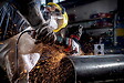 METABO - Meuleuse 125 mm filaire WEPBA 19-125 Q DS M-Brush - vignette