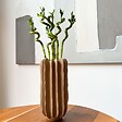 PLANT IN A BOX - Lucky Bamboo - Set de 6 - Dracaena sanderiana - Hauteur 40-50cm - ⌀2cm - vignette