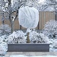 JARDIBEST - Voile hivernage - Blanc - 2x10m - vignette