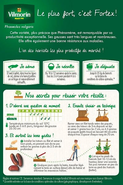 VILMORIN - Haricot Fortex mangetout obtention Inra boite série 20m Vilmorin - large