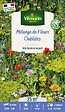 VILMORIN - Mélange de Fleurs Oubliées  - 25 M² - vignette