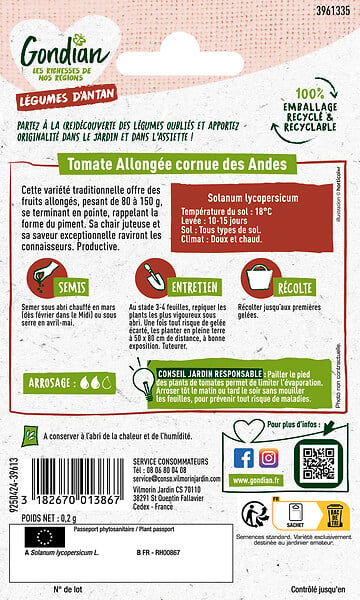 GONDIAN - Tomate Cornue des Andes - large