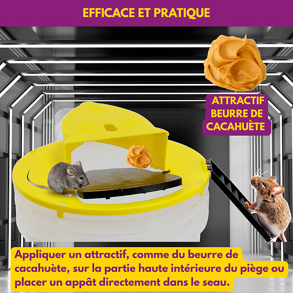 ACTO - Piège à souris à bascule multi-captures - large