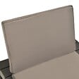 VIDAXL - vidaXL Chaise de salon de jardin avec coussin Plastique Anthracite - vignette