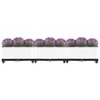VIDAXL - vidaXL Lit surélevé 120x40x23 cm Polypropylène - vignette