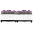 VIDAXL - vidaXL Lit surélevé 80x40x23 cm Polypropylène - vignette