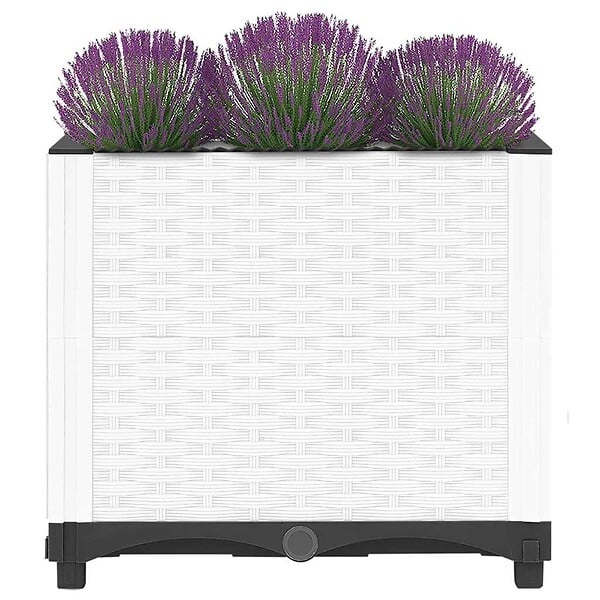 VIDAXL - vidaXL Lit surélevé 40x40x38 cm Polypropylène - large
