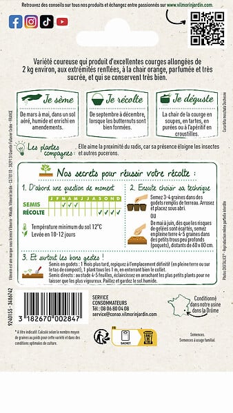 VILMORIN - Courge Waltham Butternut - large