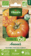 VILMORIN - Tomate ananas jaune bio vilmorin - vignette