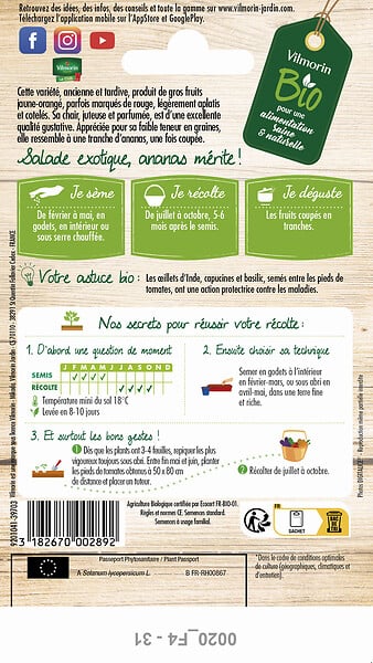 VILMORIN - Tomate ananas jaune bio vilmorin - large