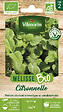 VILMORIN - Melisse citronnelle bio vilmorin - vignette