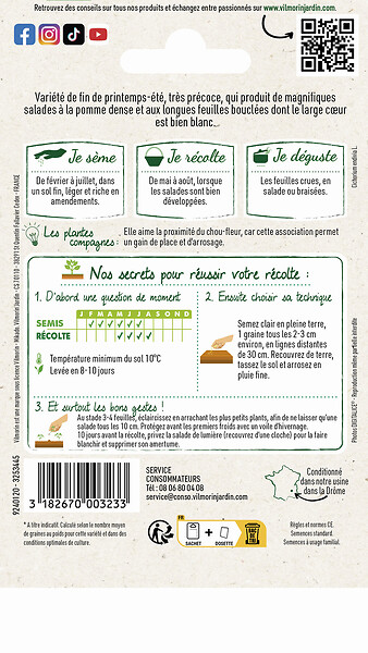 VILMORIN - Chicoree scarole grosse bouclee vilmorin - large