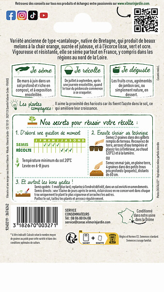 VILMORIN - Melon petit gris de rennes vilmorin - large