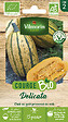 VILMORIN - Courge delicata bio vilmorin - vignette