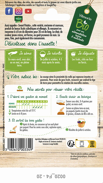 VILMORIN - Courge delicata bio vilmorin - large