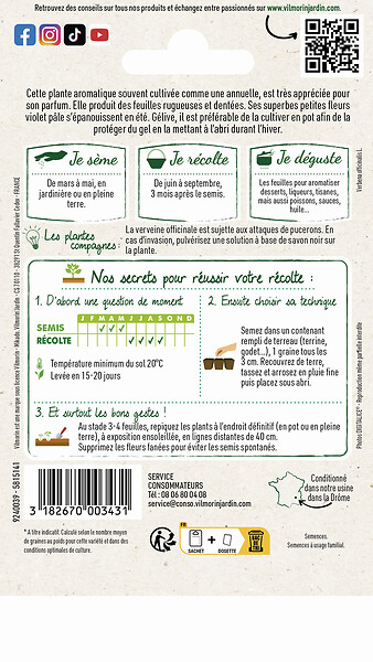 VILMORIN - Verveine officinale vilmorin - large